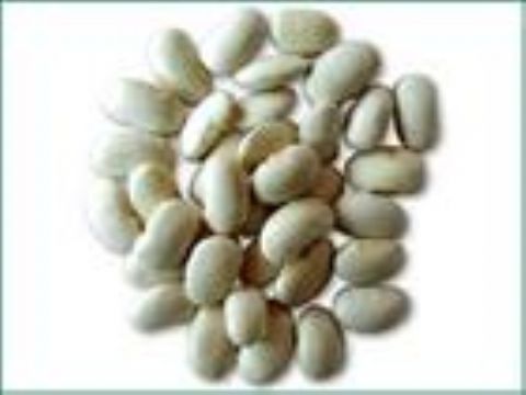 White Kidney Bean P.E.